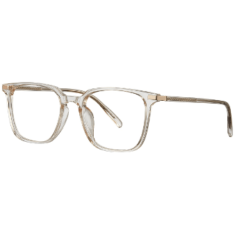 R6099